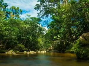 TARAPOTO